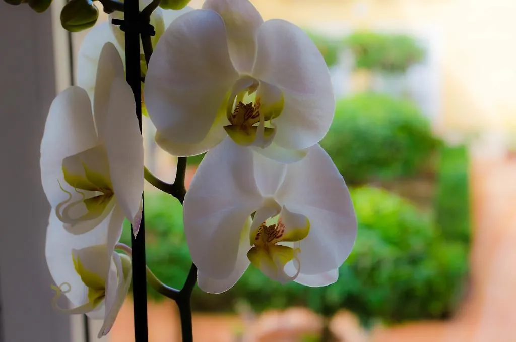 Apartamento Blanco Calle Pureza Hotel Seville Apartment